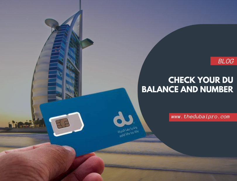 Discover 3 Easy Ways to Check Your du Balance and Number