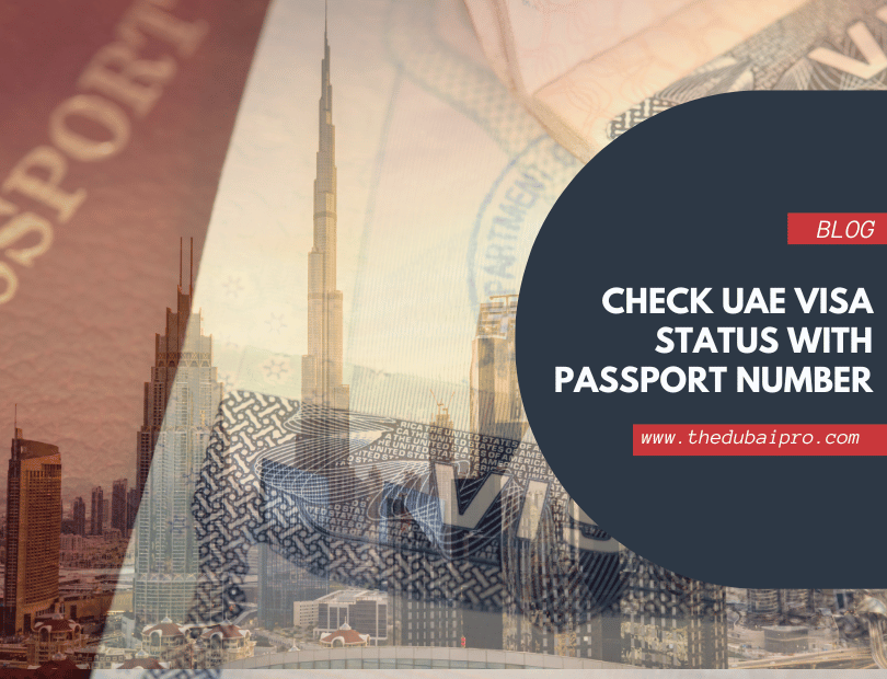 UAE Visa Status Check: Everything You Need to Know Using Your Passport